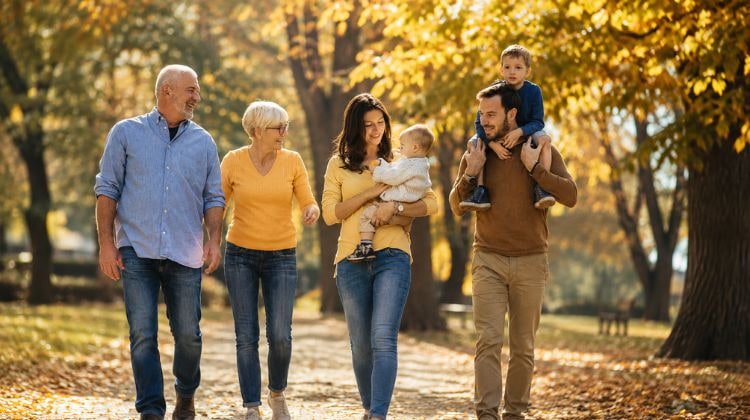 Áreas de atuação em direito de família e sucessões